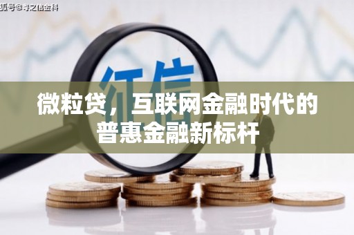 兴县微粒贷，互联网金融时代的普惠金融新标杆