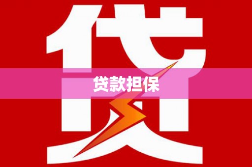 兴县贷款担保