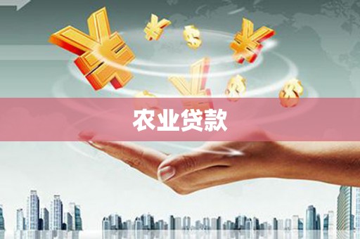 兴县农业贷款