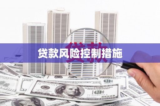 兴县贷款风险控制措施