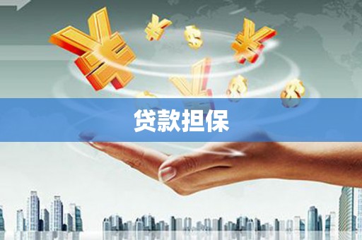 兴县贷款担保
