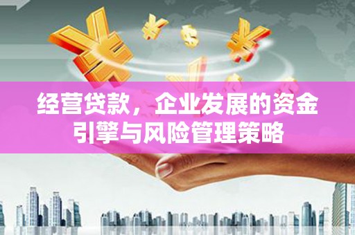 兴县经营贷款，企业发展的资金引擎与风险管理策略