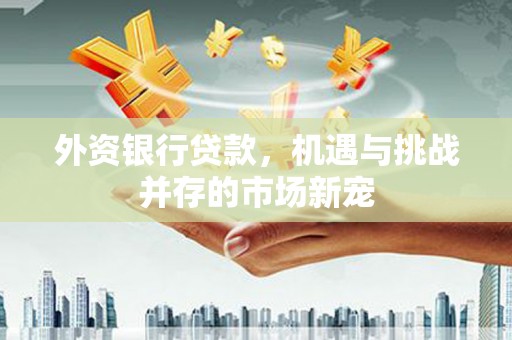 兴县外资银行贷款，机遇与挑战并存的市场新宠