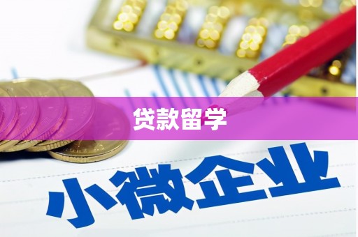 兴县贷款留学