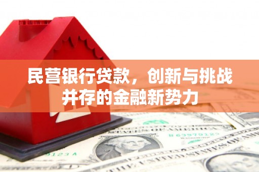 兴县民营银行贷款，创新与挑战并存的金融新势力