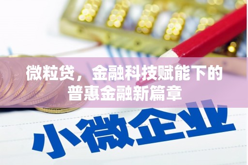 兴县微粒贷，金融科技赋能下的普惠金融新篇章