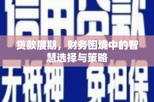 兴县贷款展期，财务困境中的智慧选择与策略