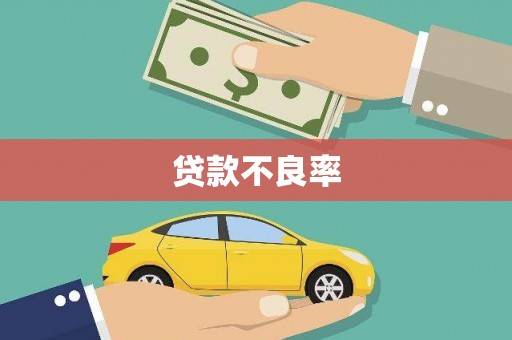兴县贷款不良率