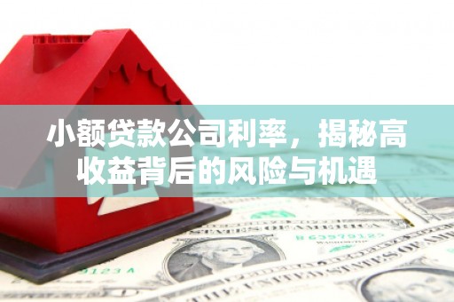 兴县小额贷款公司利率，揭秘高收益背后的风险与机遇