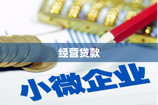 兴县经营贷款