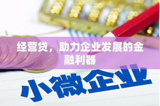 兴县经营贷，助力企业发展的金融利器
