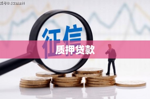 兴县质押贷款