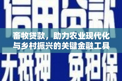 兴县畜牧贷款，助力农业现代化与乡村振兴的关键金融工具