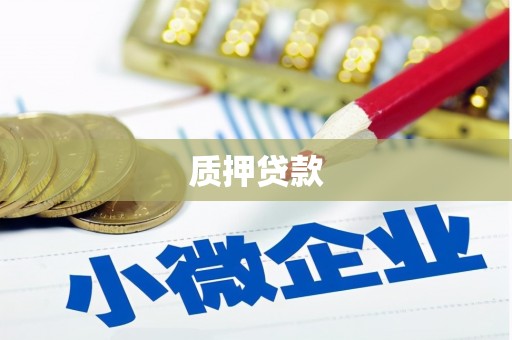 兴县质押贷款