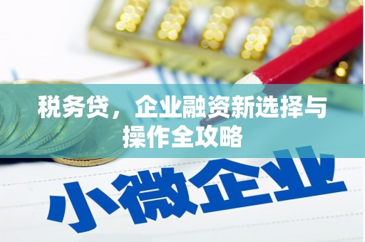 兴县税务贷，企业融资新选择与操作全攻略