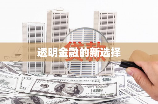 兴县透明金融的新选择
