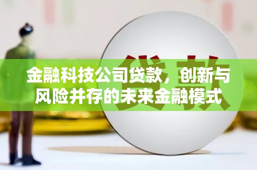 兴县金融科技公司贷款，创新与风险并存的未来金融模式