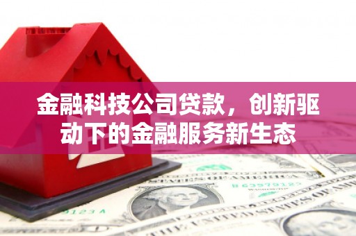 兴县金融科技公司贷款，创新驱动下的金融服务新生态