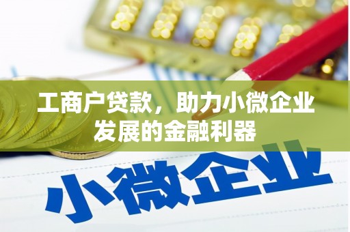 兴县工商户贷款，助力小微企业发展的金融利器