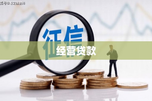 兴县经营贷款