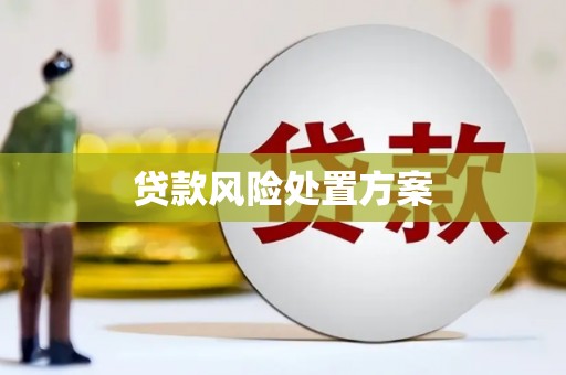 兴县贷款风险处置方案