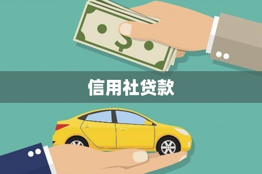 兴县信用社贷款