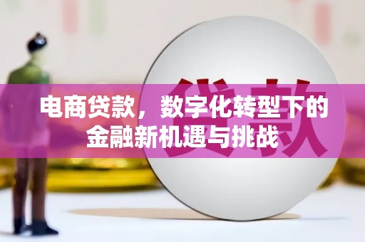 兴县电商贷款，数字化转型下的金融新机遇与挑战