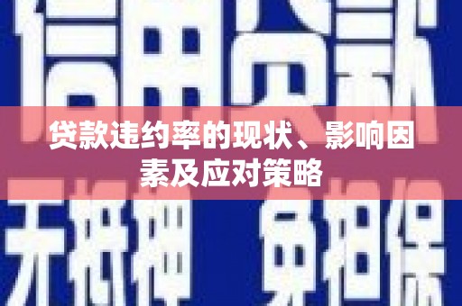 兴县贷款违约率的现状、影响因素及应对策略