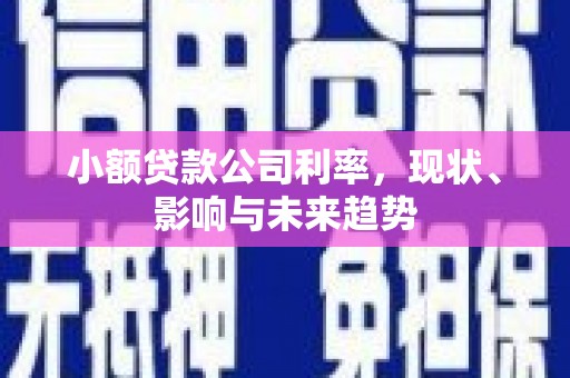 兴县小额贷款公司利率，现状、影响与未来趋势