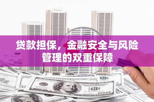 兴县贷款担保，金融安全与风险管理的双重保障