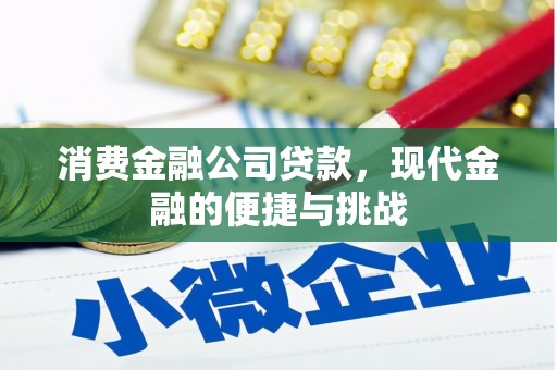 兴县消费金融公司贷款，现代金融的便捷与挑战