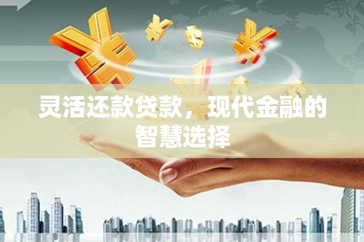 兴县灵活还款贷款，现代金融的智慧选择