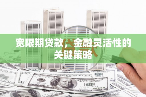 兴县宽限期贷款，金融灵活性的关键策略