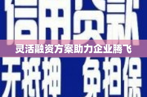兴县灵活融资方案助力企业腾飞
