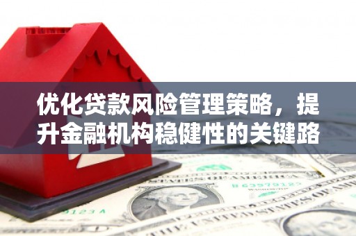 兴县优化贷款风险管理策略，提升金融机构稳健性的关键路径