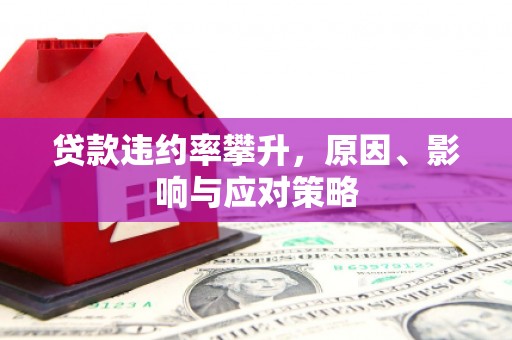 兴县贷款违约率攀升，原因、影响与应对策略
