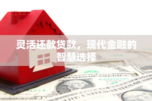 兴县灵活还款贷款，现代金融的智慧选择