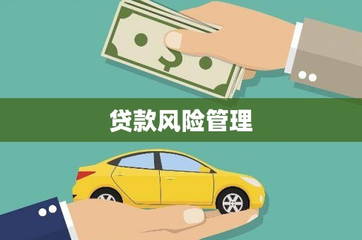 兴县贷款风险管理