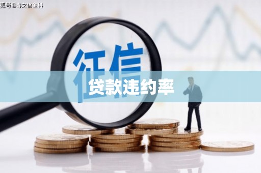 兴县贷款违约率