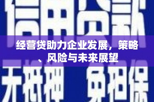 兴县经营贷助力企业发展，策略、风险与未来展望