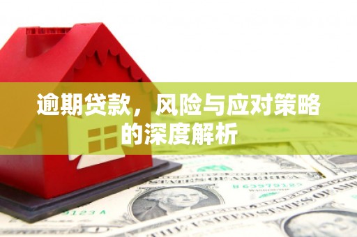 兴县逾期贷款，风险与应对策略的深度解析