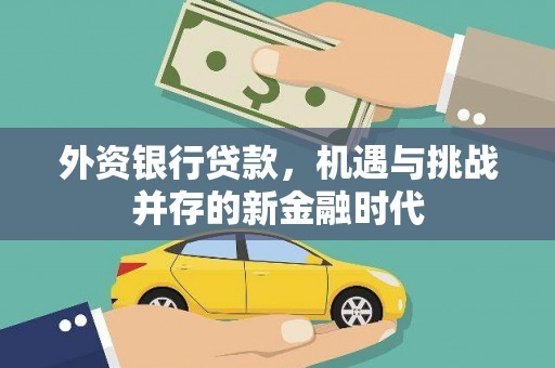 兴县外资银行贷款，机遇与挑战并存的新金融时代