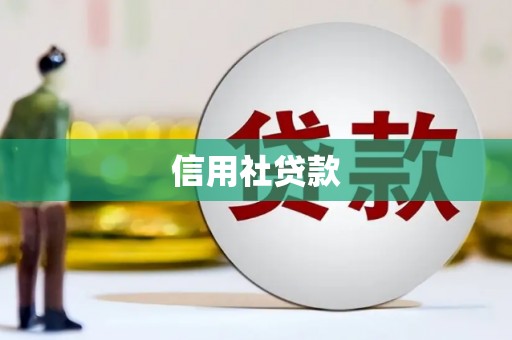 兴县信用社贷款