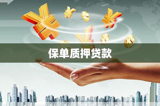 兴县保单质押贷款