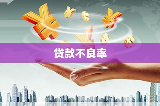 兴县贷款不良率