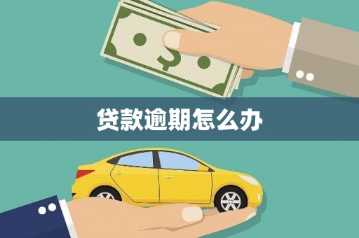 兴县贷款逾期怎么办
