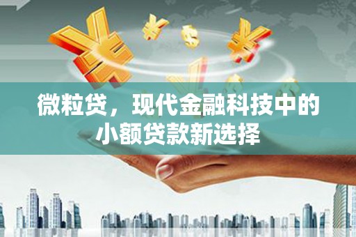 兴县微粒贷，现代金融科技中的小额贷款新选择