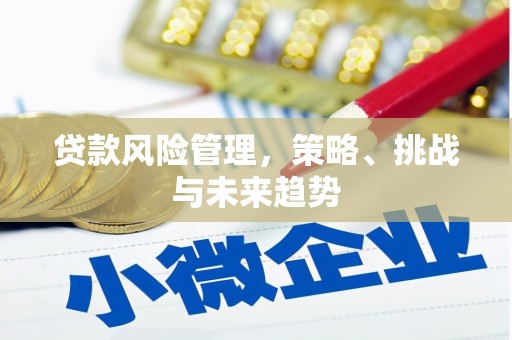 兴县贷款风险管理，策略、挑战与未来趋势
