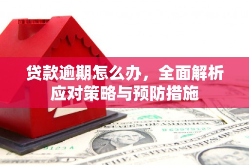 兴县贷款逾期怎么办，全面解析应对策略与预防措施