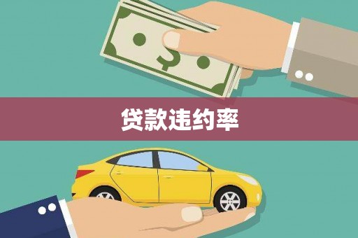 兴县贷款违约率